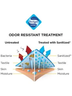 Bauer S17 Core Compression Base Layer Short-Senior 12 Bauer S17 Core Compression Base Layer Short-Senior -Hockey Sports Store 1050790 9138