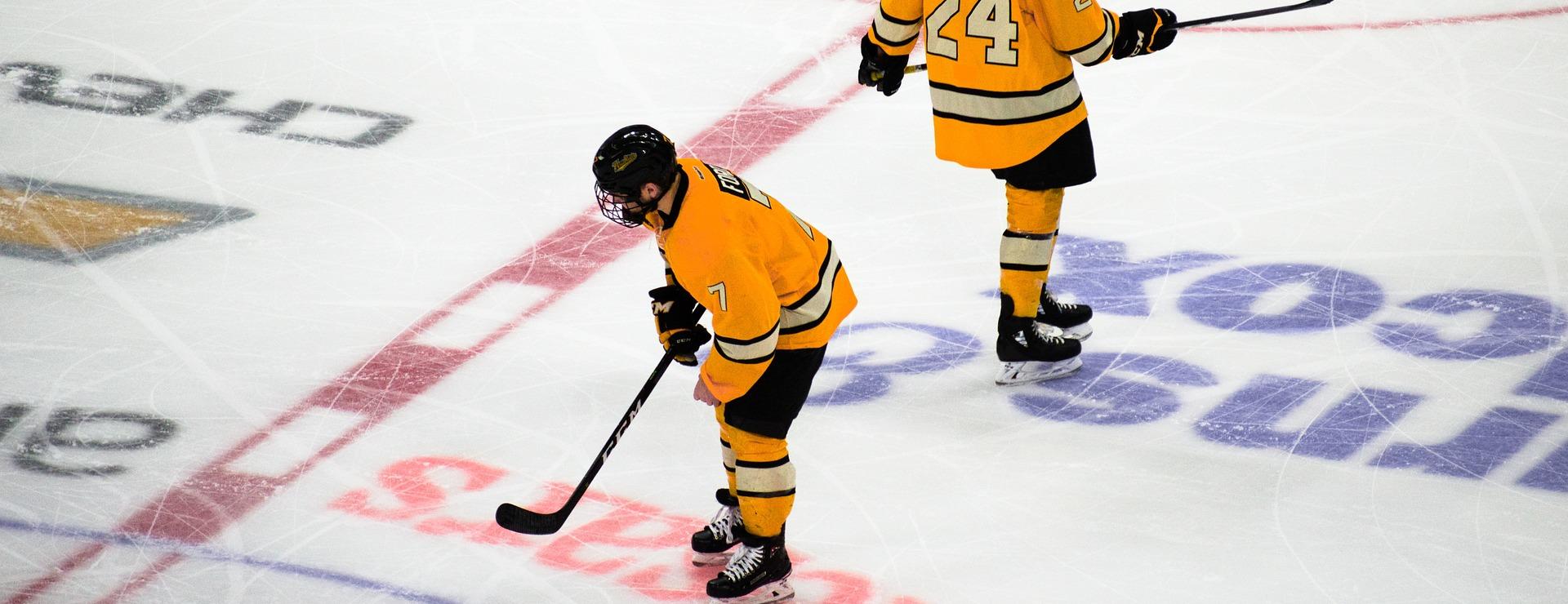 Hockey Sports Store -Hockey Sports Store hockey 3920077 1920 1